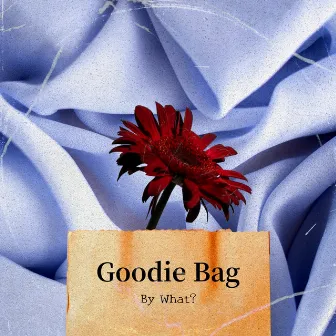 Goodie Bag by What?