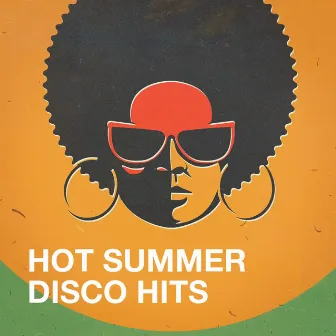 Hot Summer Disco Hits by Unknown Artist