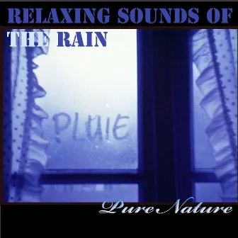 Relaxing Sounds of the Rain, Interiors by Unknown Artist