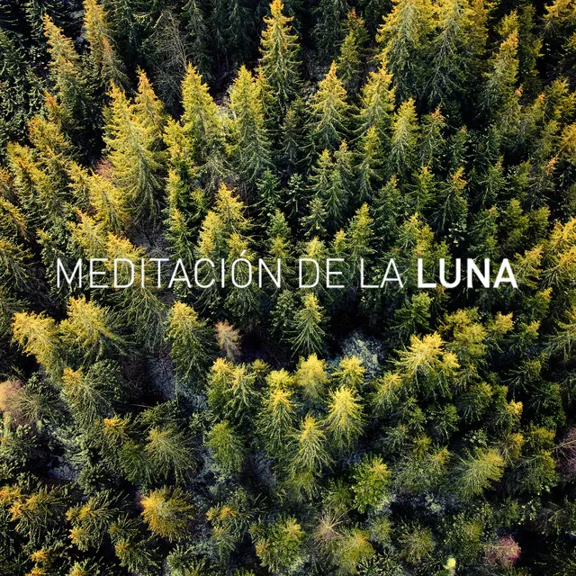 Meditación