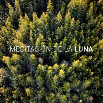 Meditación by Meditación De La Luna