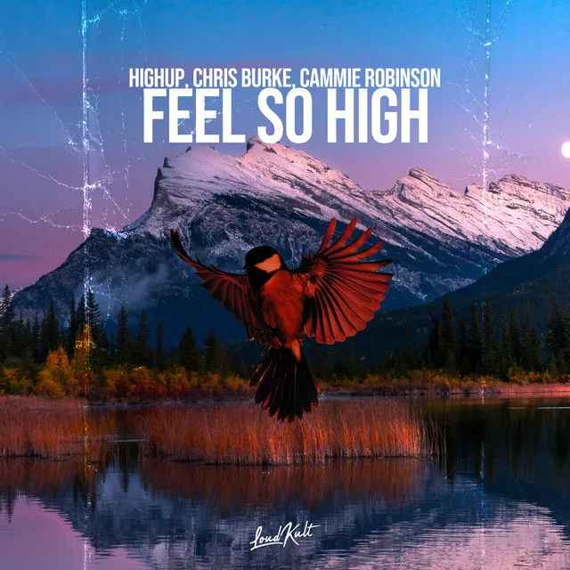 Feel so High