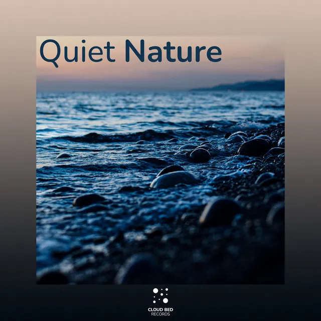 Quiet Tones of Quietude