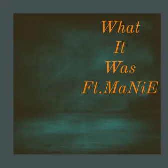 What It Was by Manie