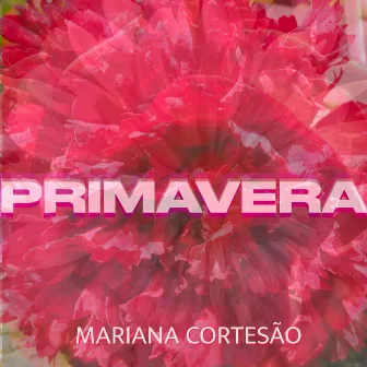 Primavera by Mariana Cortesão