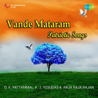 Vande Mataram Patriotic Songs by D. K. Pattammal