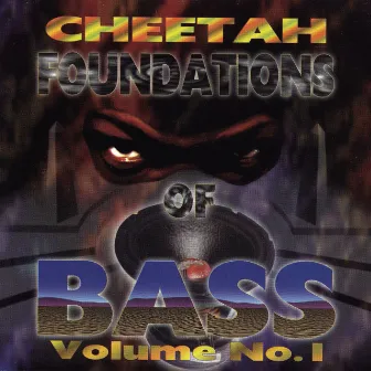 Foundations Of Bass Vol. 1 by DJ Magic Mike