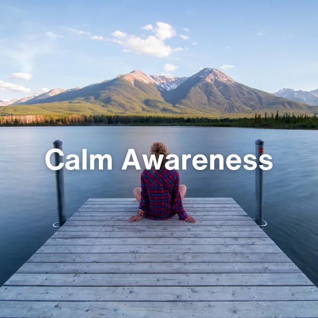 Calm Awareness