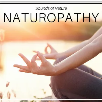 Naturopathy - Sounds of Nature, Biofeedback, Autogenic Training, Healthy Sleep, Breathing Exercises, Long Relaxation by Unknown Artist