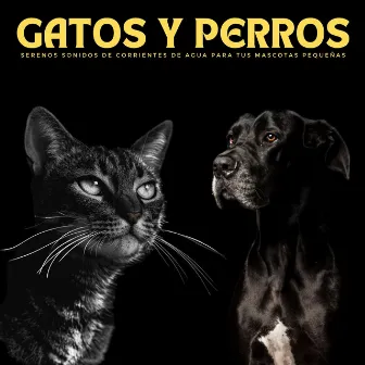 Gatos Y Perros: Serenos Sonidos De Corrientes De Agua Para Tus Mascotas Pequeñas by Las Gatitas