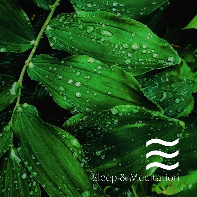 Sleeping Nature Rain Music