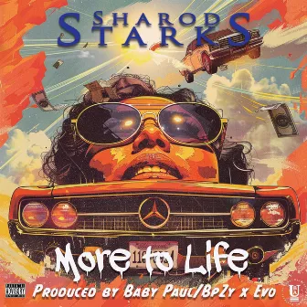 More to Life by Sharod Starks