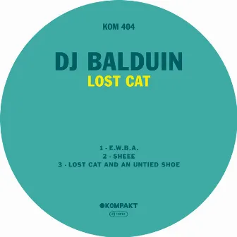 Lost Cat by DJ Balduin