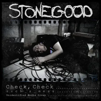 Check, Check by Stonegood