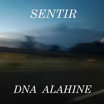 Sentir by DNA ALAHINE