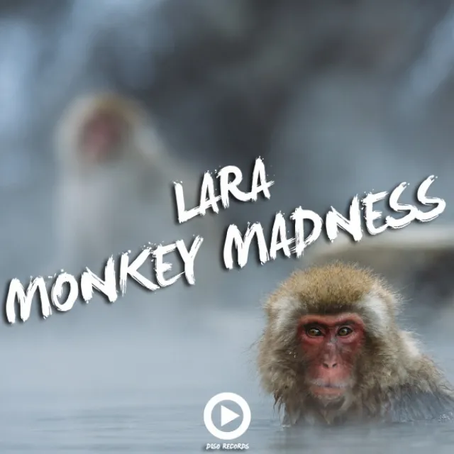 Monkey Madness