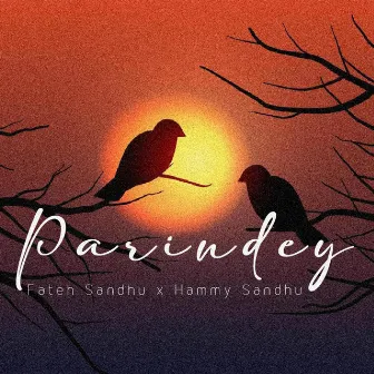 Parindey by Hammy Sandhu