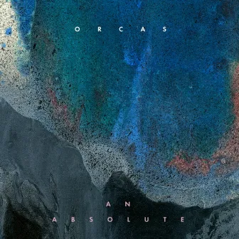 An Absolute by Orcas