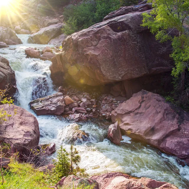 Water's Harmony: Stream of Tranquility