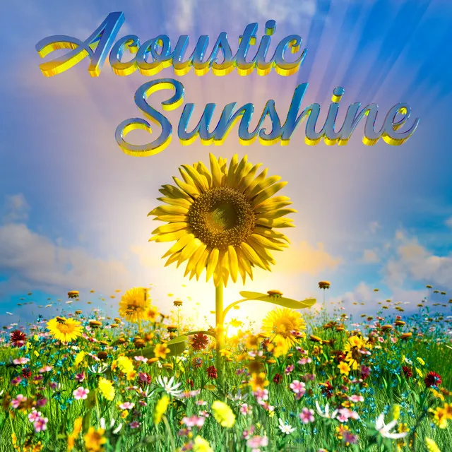 Acoustic Sunshine