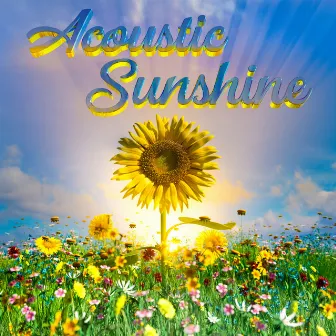 Acoustic Sunshine by Stuart Roslyn