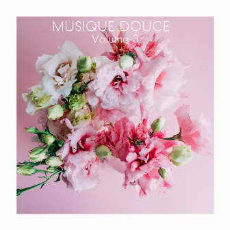 Musique Douce, Vol. 3 by Berceuses