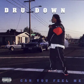 Can You Feel Me by Dru Down