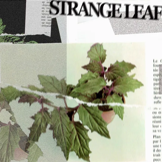 Strange Leaf