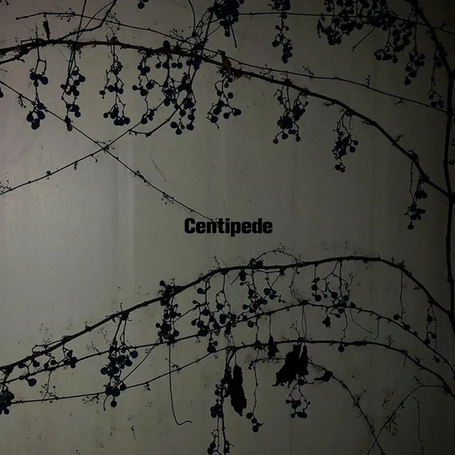 Centipede (Feat. Kojimai)