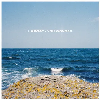 You Wonder by Lapcat