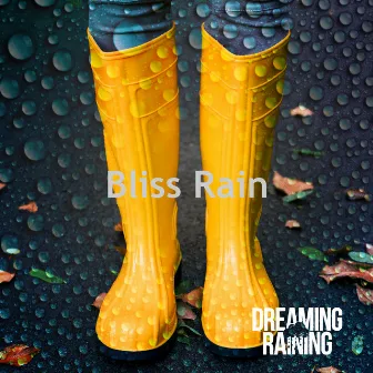 Bliss Rain by Dreaming Raining