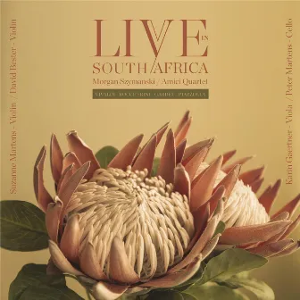 Live in South Africa by Morgan Szymanski