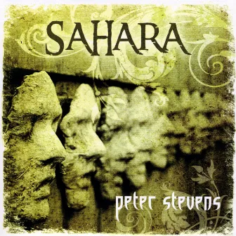 Sahara by Peter Stevens