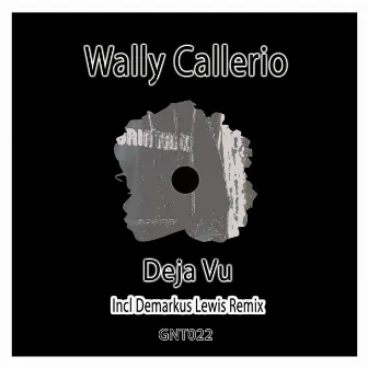 Deja Vu by Wally Callerio