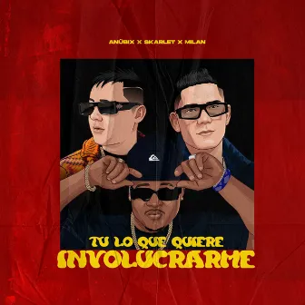 Tu Lo Que Quiere Involucrarme by Anübix