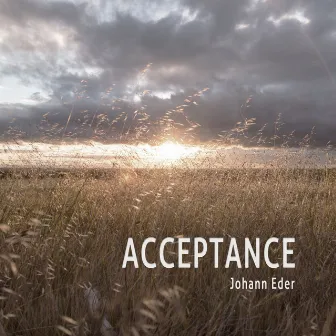 Acceptance by Johann Eder