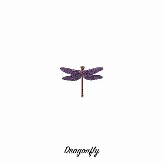 Dragonfly by Nate Willard