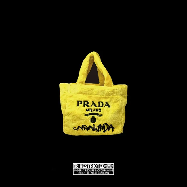 Prada Bag