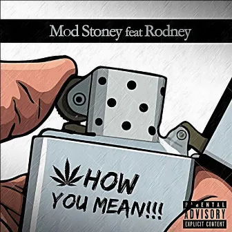 How You Mean (feat. Rodney) by Mod Stoney