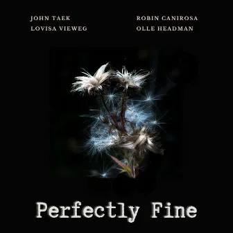 Perfectly Fine by John Taek