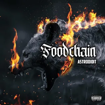 Foodchain by Astrodidit