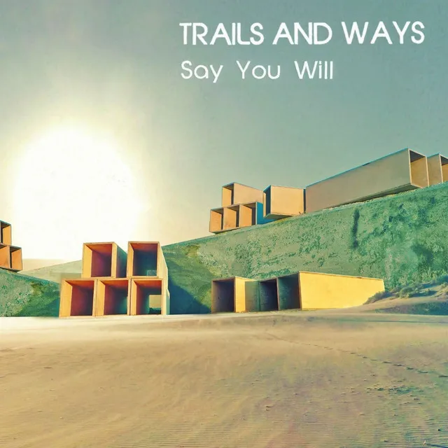 Say You Will