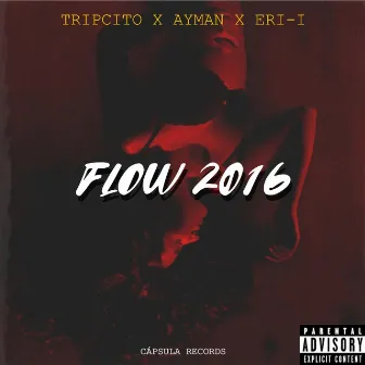 FLOW 2016 by Tripcito