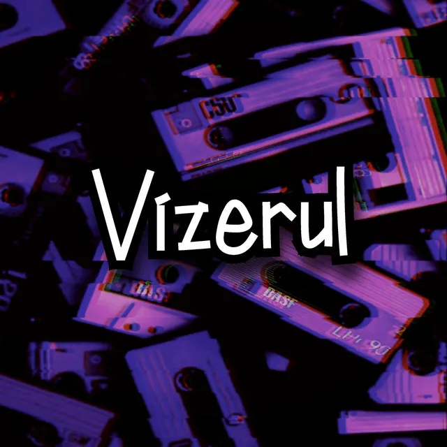 Vizerul