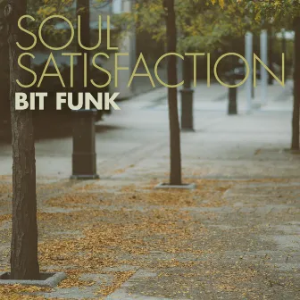 Soul Satisfaction by Bit Funk