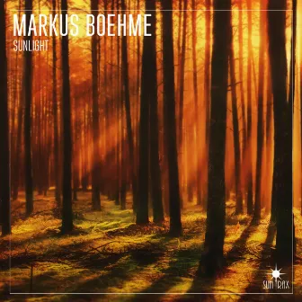 Sunlight by Markus Boehme