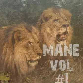 Mane, Vol. 1 by Guru Santi