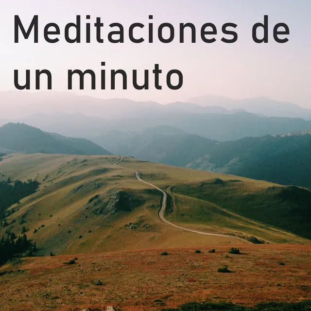 Meditación Once