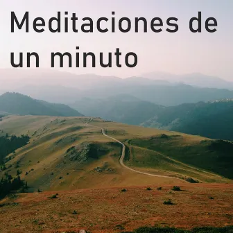 Meditaciones de Un Minuto by Alejandro Juárez