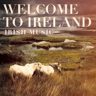 Welcome to Ireland (Irish Music) by Unknown Artist